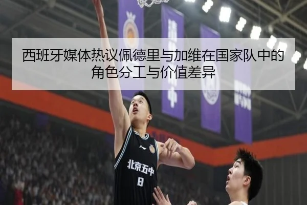西班牙媒体热议佩德里与加维在国家队中的角色分工与价值差异